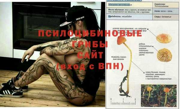 хмурый Балахна