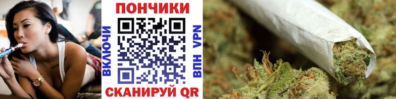 Купить закладки  Ленск  Бошки Шишки SATIVA & INDICA 